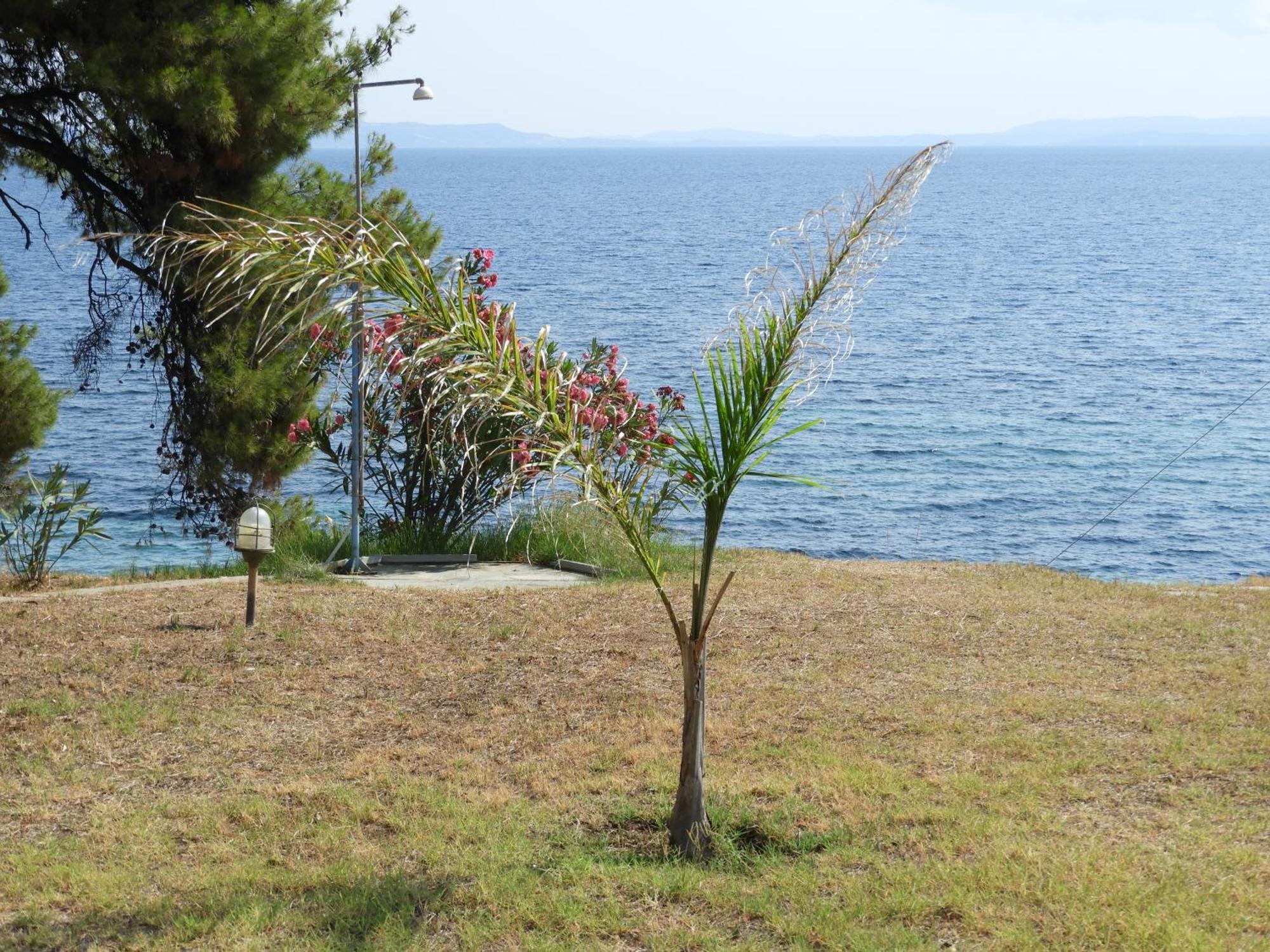 Sangue Blu Beachfront Villa Apartment Ayios Nikolaos Bagian luar foto
